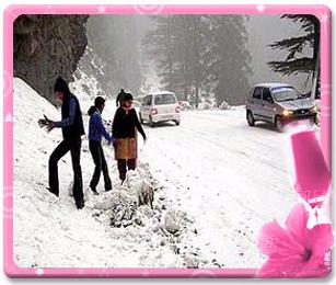 Shimla Manali tour packages enjoy the tour with perfection while being safe