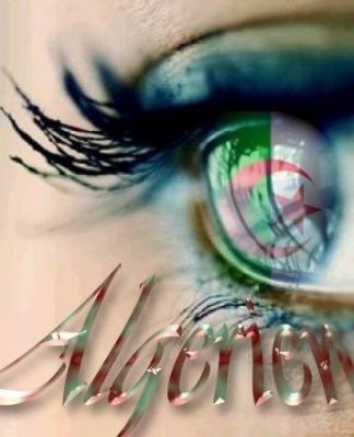 algerie mon amour