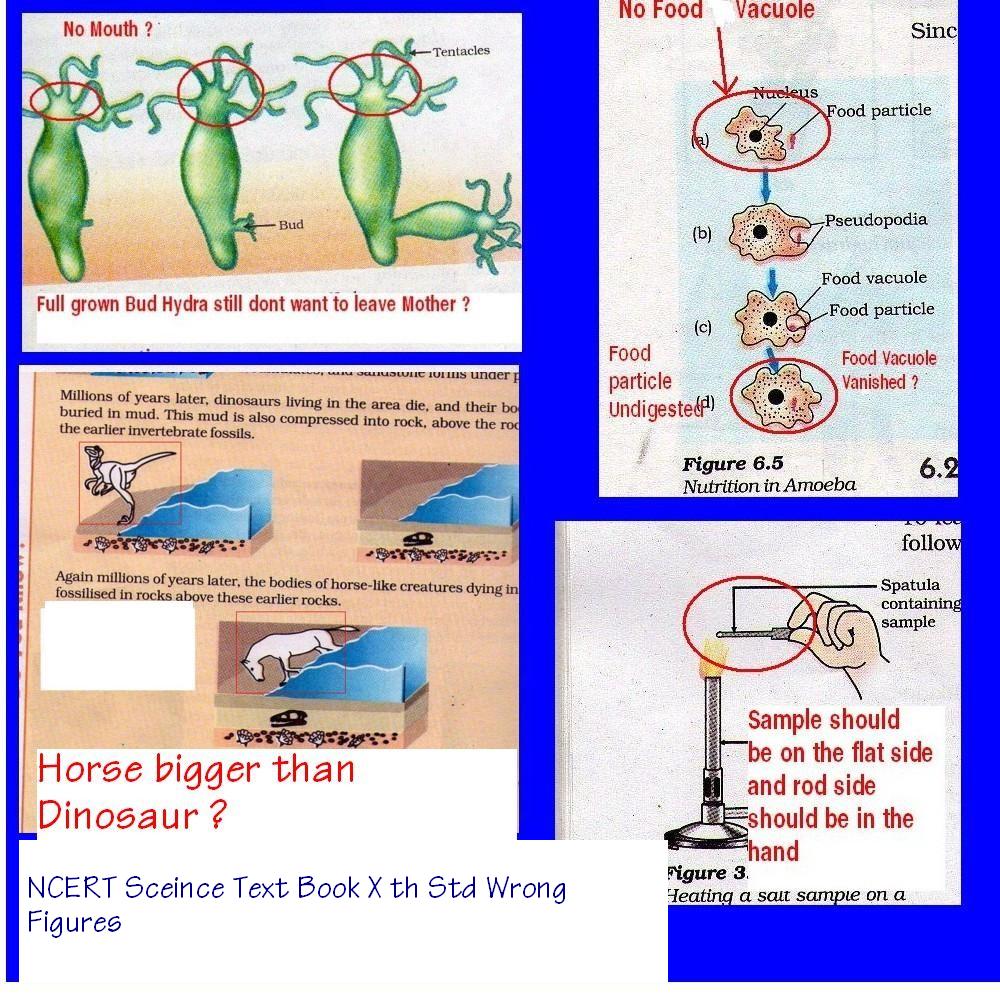 NCERT X Th Scince Text Book  -50 Wrong Diagrams