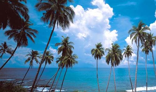 Goa the Perfect and Enigmatic Beach Destination in India