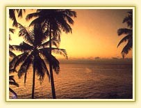 Goa Trip Will Give You a Heaven Journey Where Joy Is Unlimited