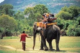 Srilanka â€“ Explore the Top Astounding Destinations