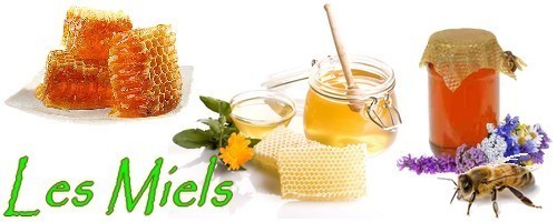 miel-algerie : vend de miel algerienne
