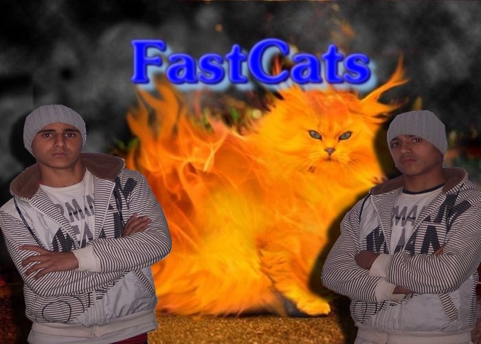 pkfastcats : FastCats