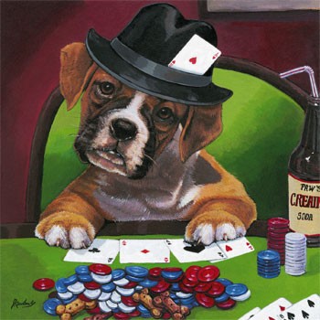 pokerjulion: pokerjulion